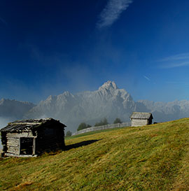 Stiergarten